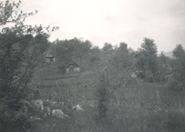 eika image